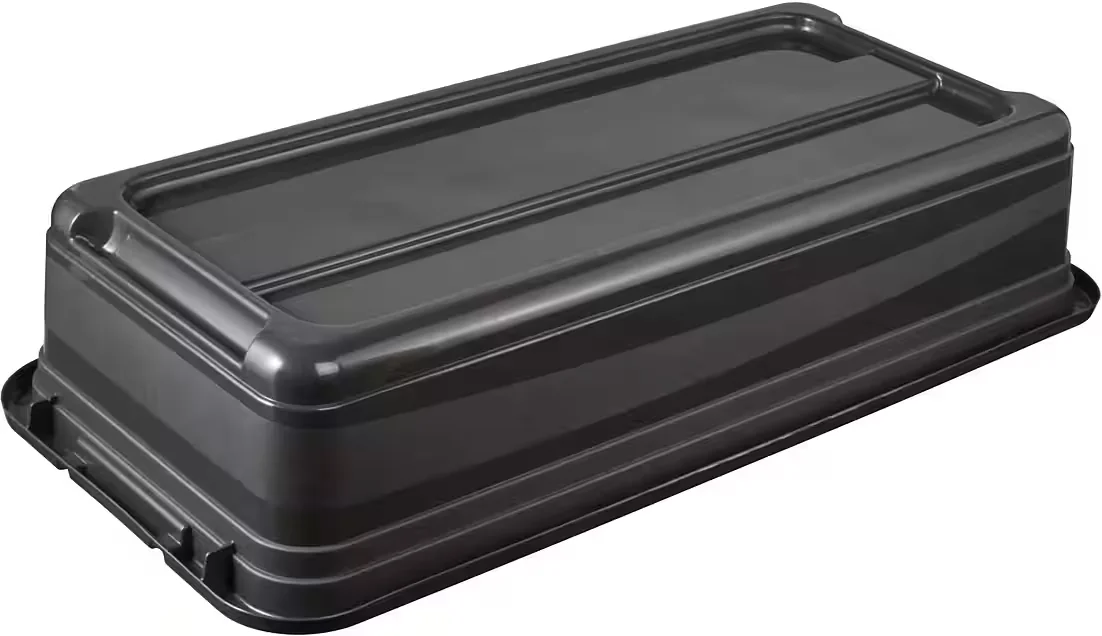 KEEEPER Eckhart Transportbox 2er Set 33 L 79,5 x 39,5 x 17 cm